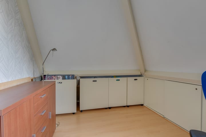 Photo 26 of Lijster 3