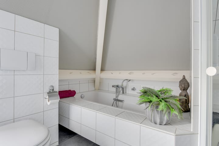 Photo 30 of Lijster 3