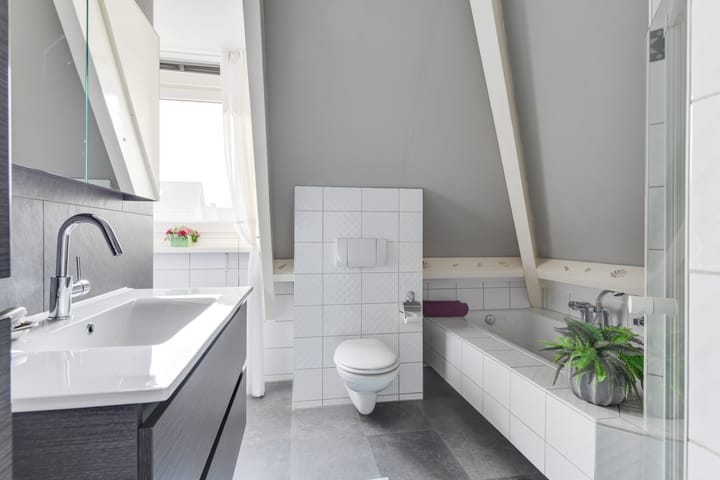 Photo 28 of Lijster 3