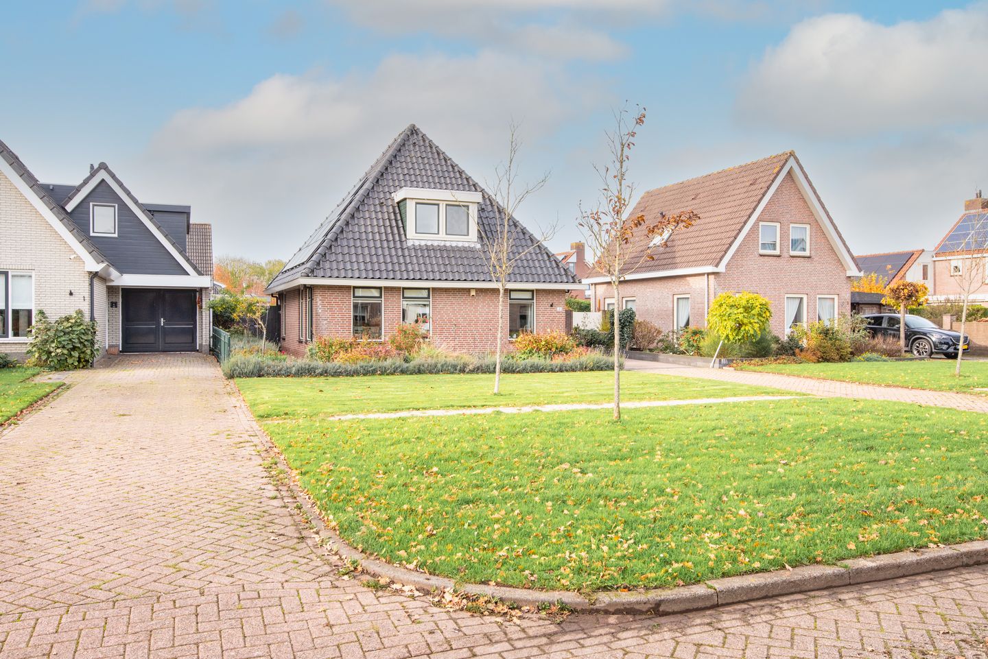 Photo 4 of Lijster 3