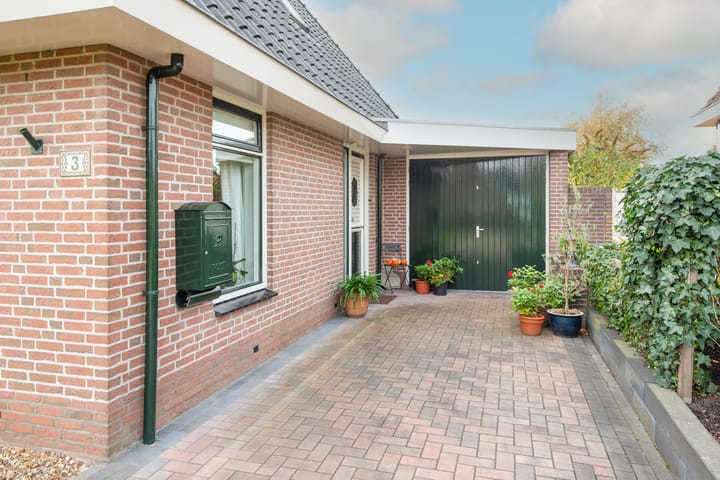 Photo 5 of Lijster 3