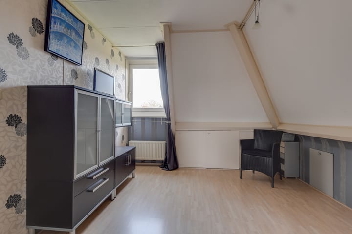 Photo 33 of Lijster 3