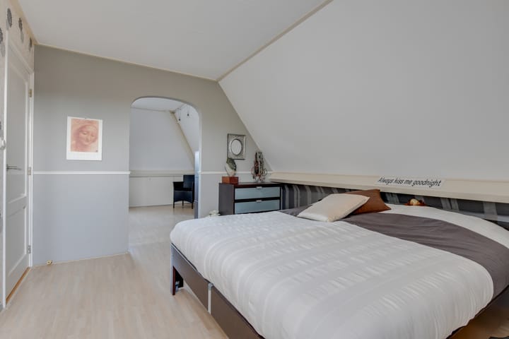 Photo 37 of Lijster 3