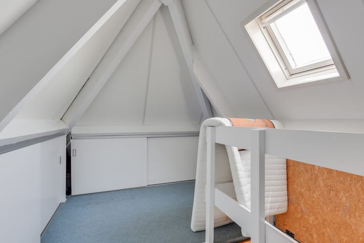 Photo 39 of Lijster 3