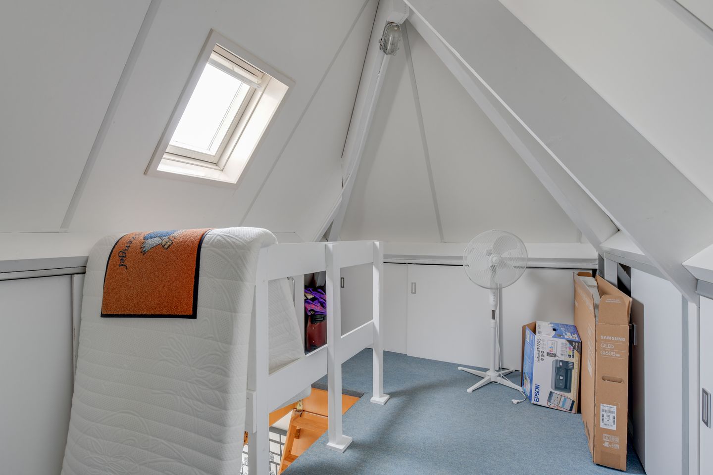 Photo 40 of Lijster 3