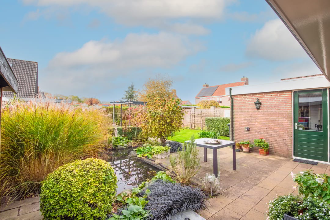 Photo 41 of Lijster 3