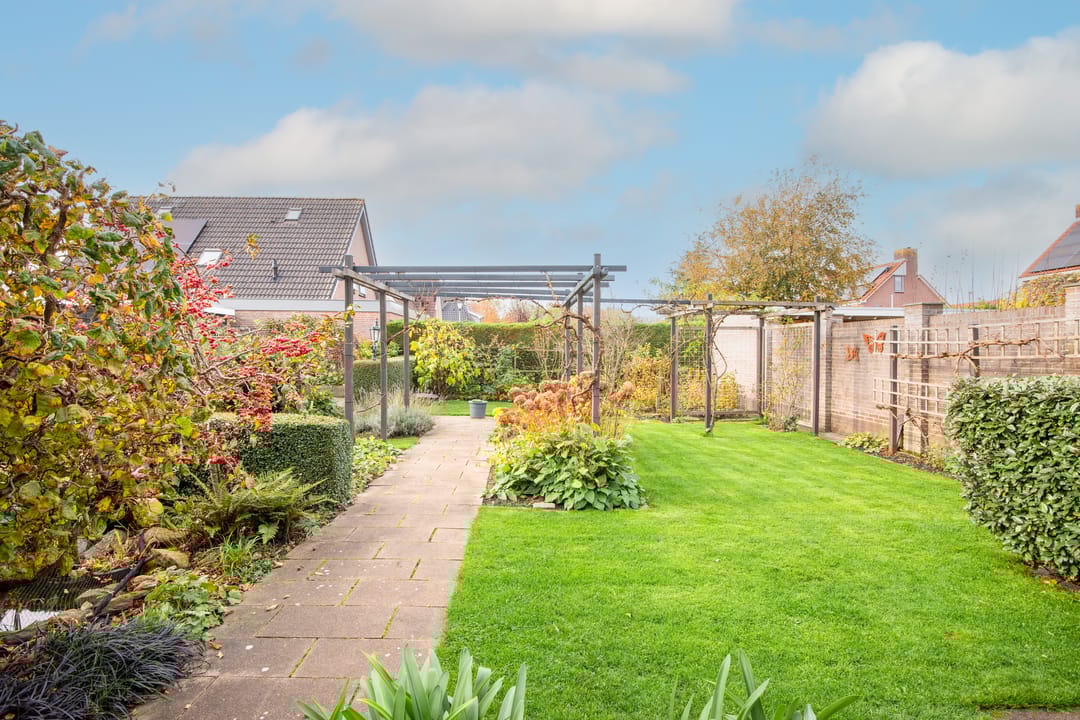 Photo 43 of Lijster 3