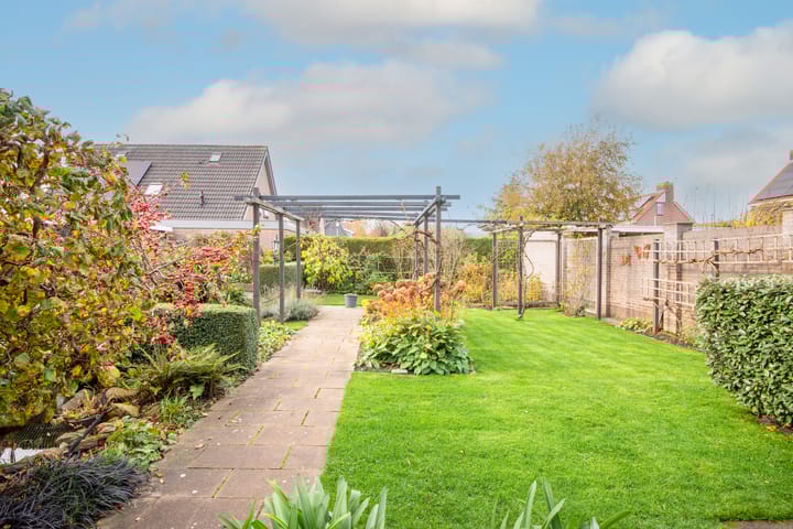 Photo 43 of Lijster 3