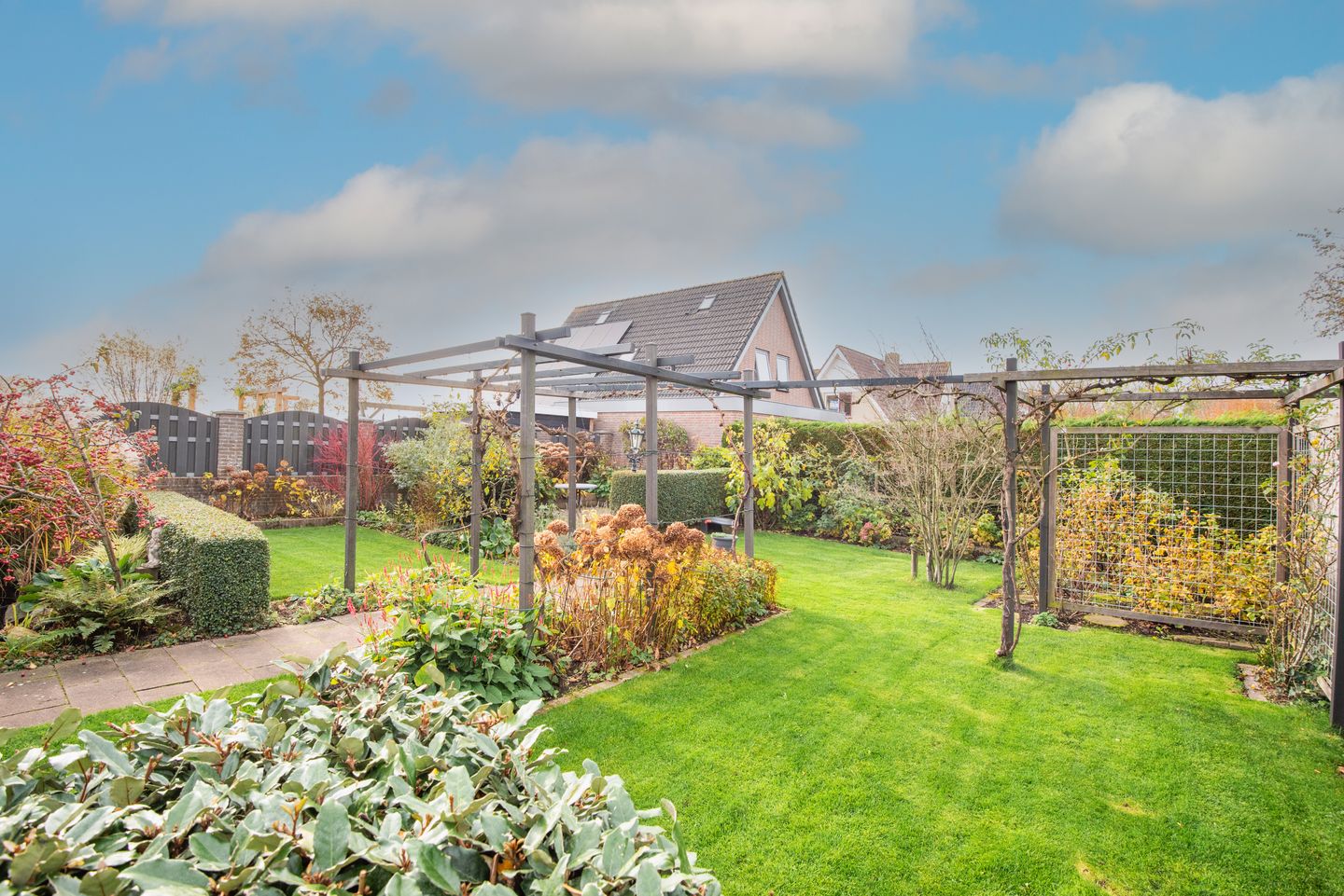 Photo 44 of Lijster 3