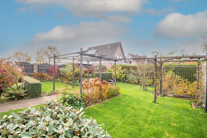 Photo 44 of Lijster 3