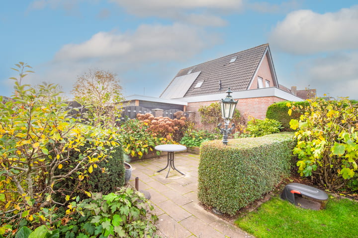 Photo 45 of Lijster 3