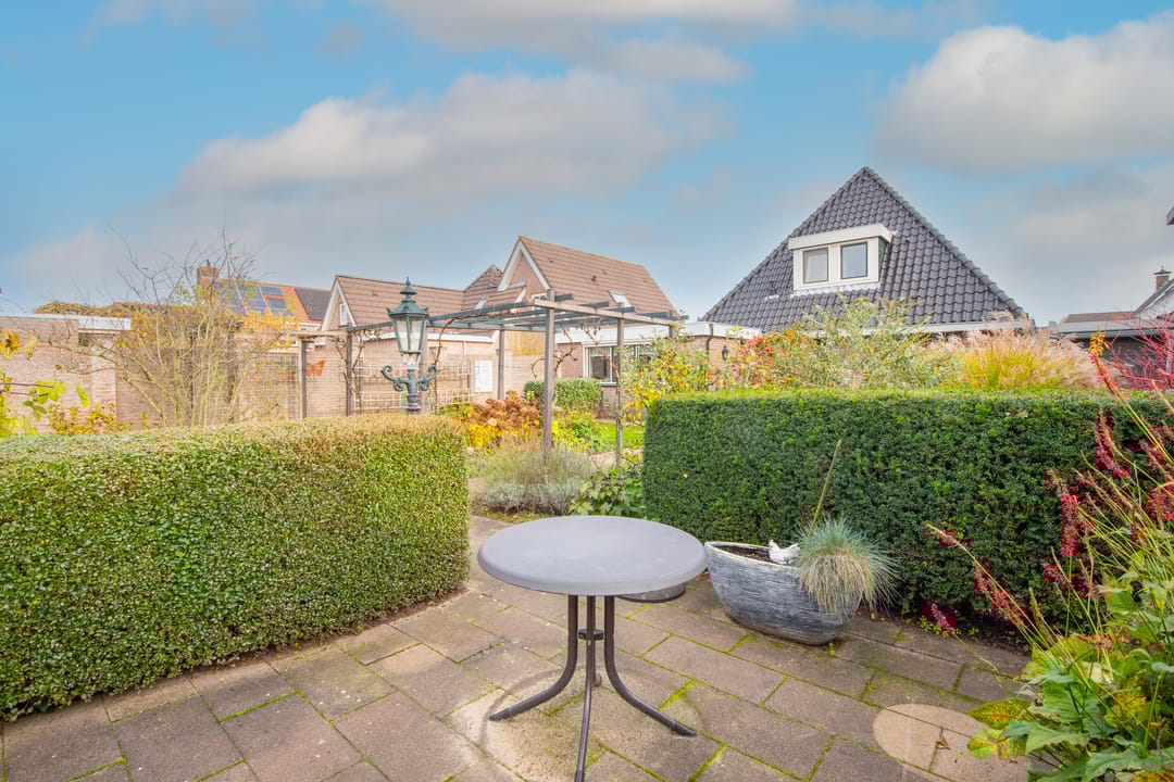 Photo 46 of Lijster 3