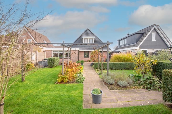 Photo 47 of Lijster 3