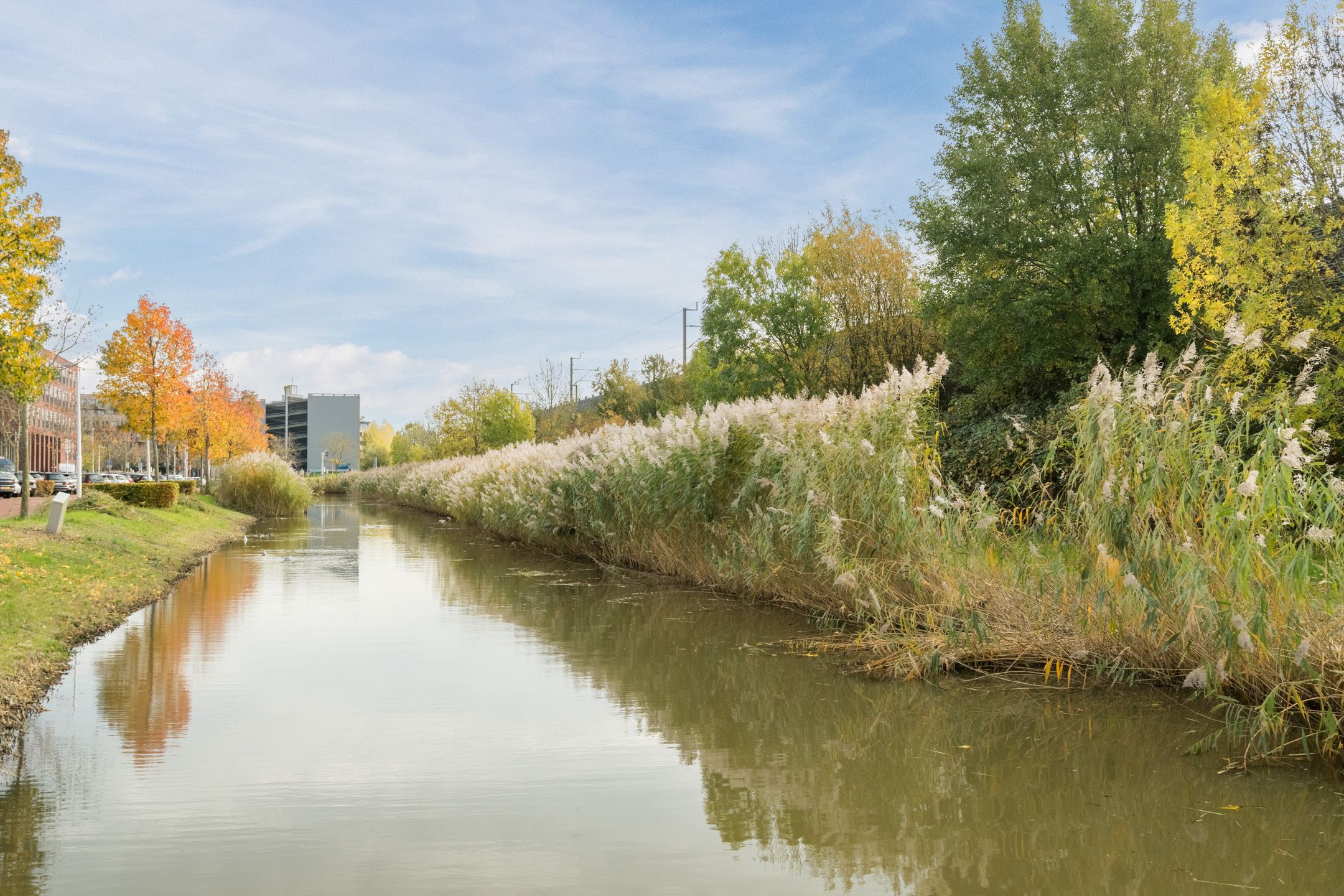 Foto 36 van Louis Armstronglaan 568