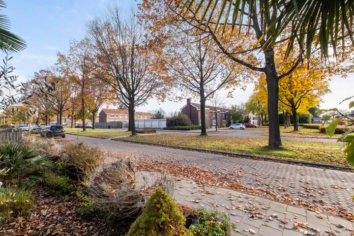 Foto 2 van Kampanje 17