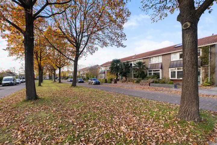 Foto 7 van Kampanje 17