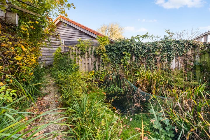 Foto 24 van Kampanje 17