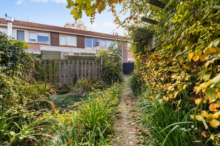 Foto 25 van Kampanje 17