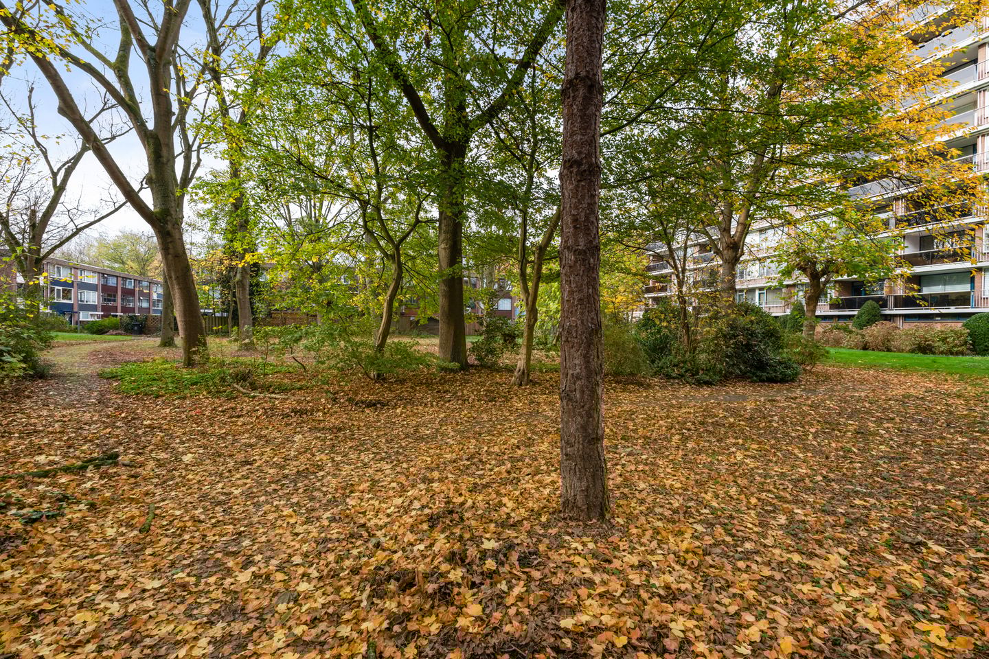 Foto 44 van Kardoenhof 57