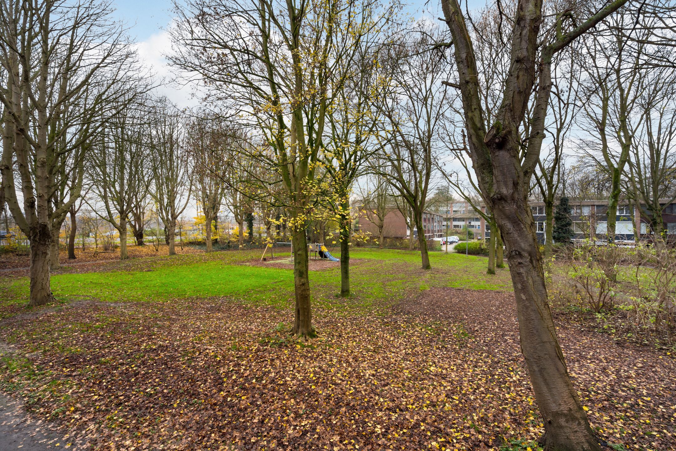 Foto 48 van Kardoenhof 57