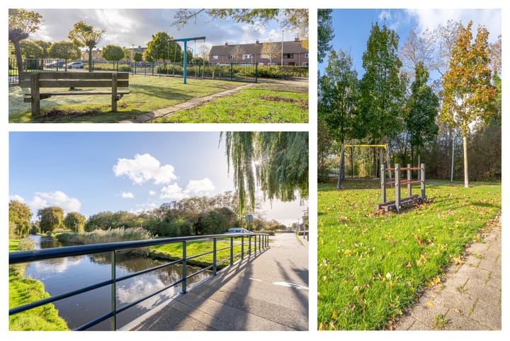 Photo 6 of Spiering 8