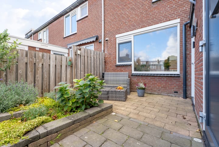 Photo 11 of Spiering 8