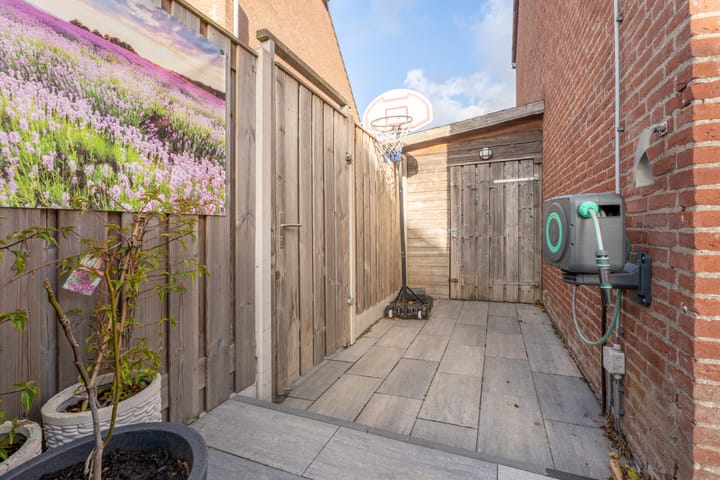 Photo 29 of Spiering 8