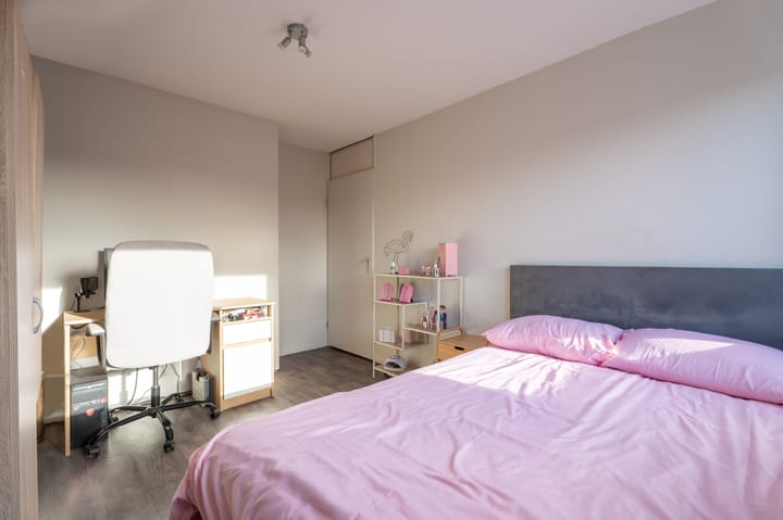 Photo 36 of Spiering 8