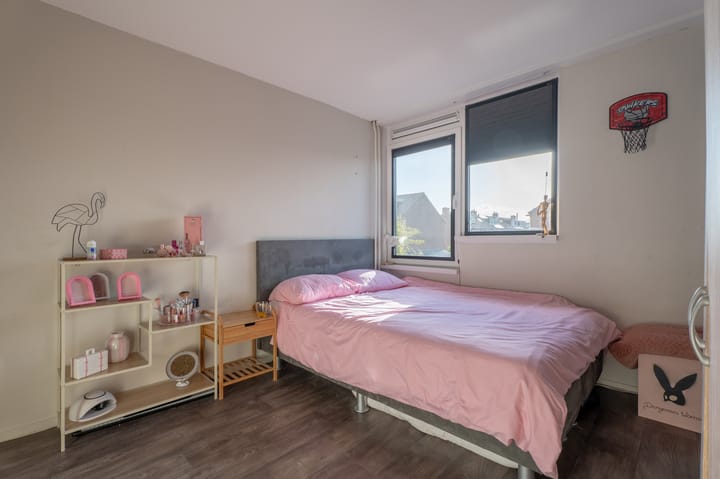 Photo 37 of Spiering 8