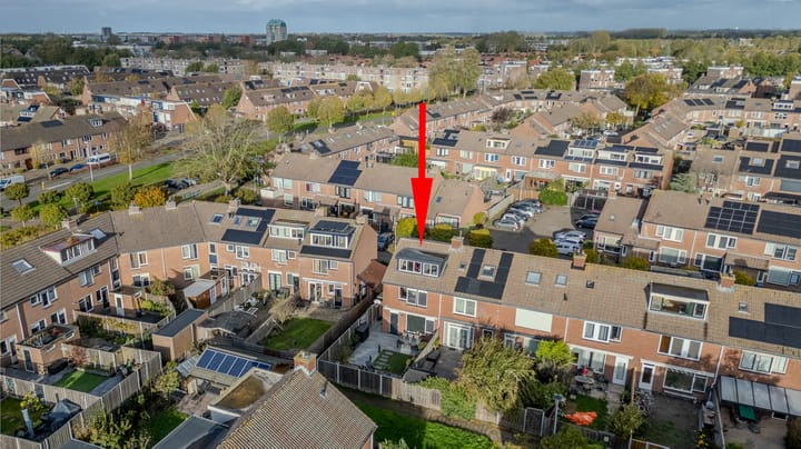 Photo 48 of Spiering 8