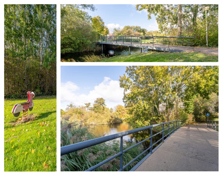 Photo 50 of Spiering 8