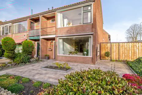 undefined main image