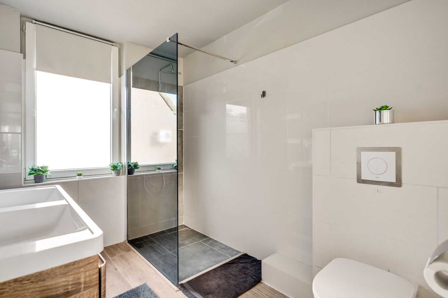 Foto 5 van Groenenberg 1