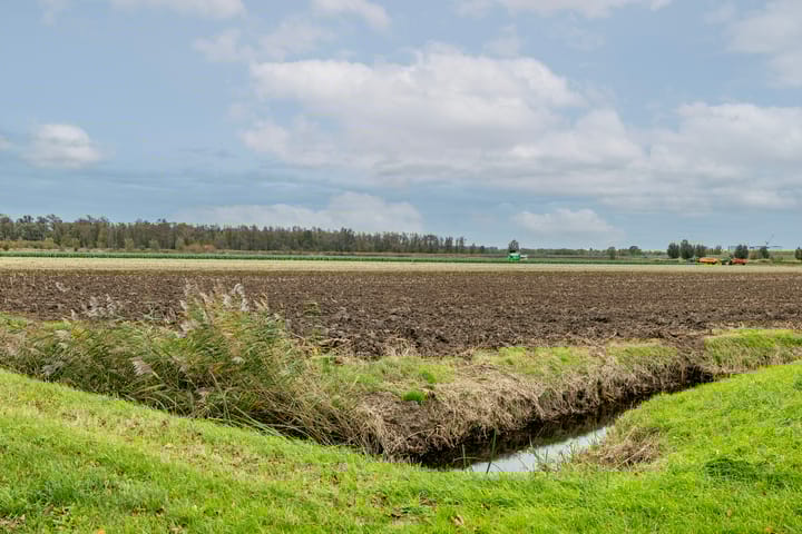 Foto 57 van Waterlelie 14