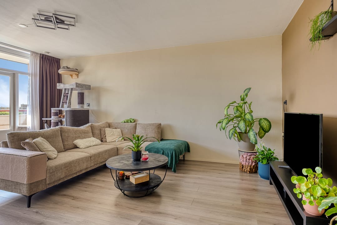 Foto 2 van Dotterlei 769