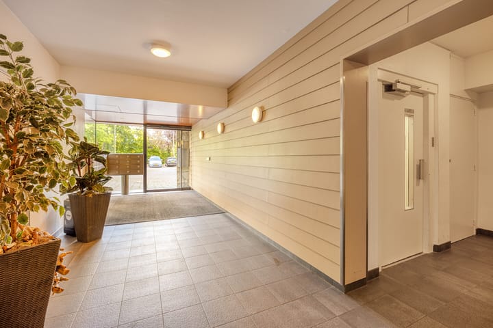 Photo 8 of Dotterlei 769