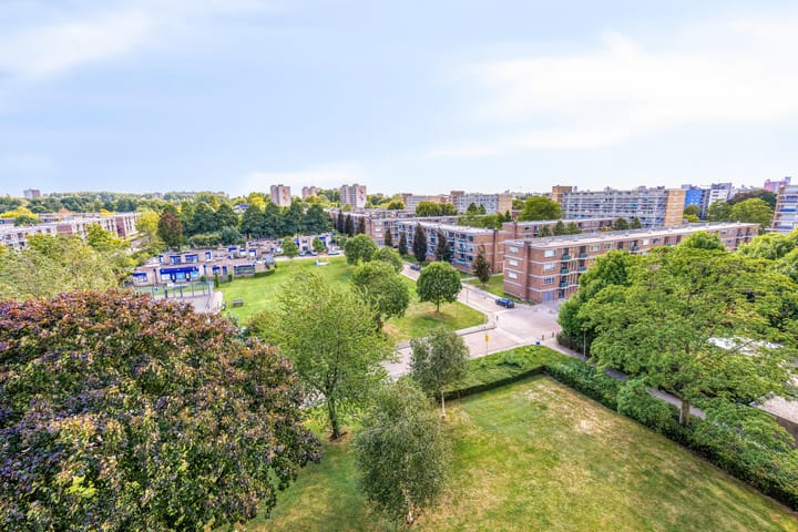 Photo 21 of Dotterlei 769