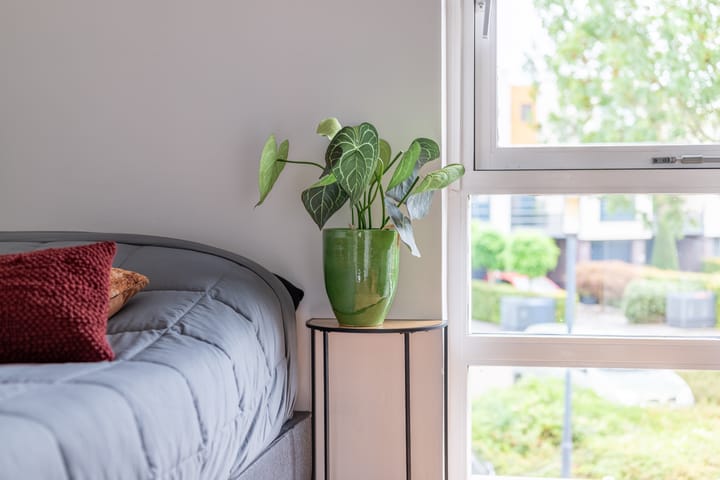 Foto 15 van Jip en Janneke 45