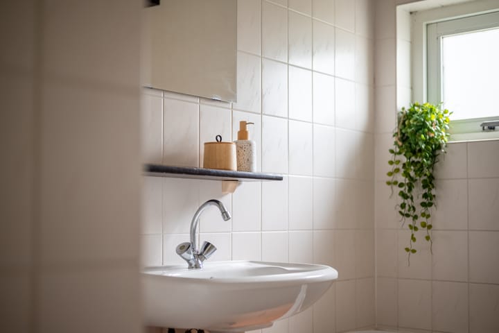 Foto 18 van Jip en Janneke 45