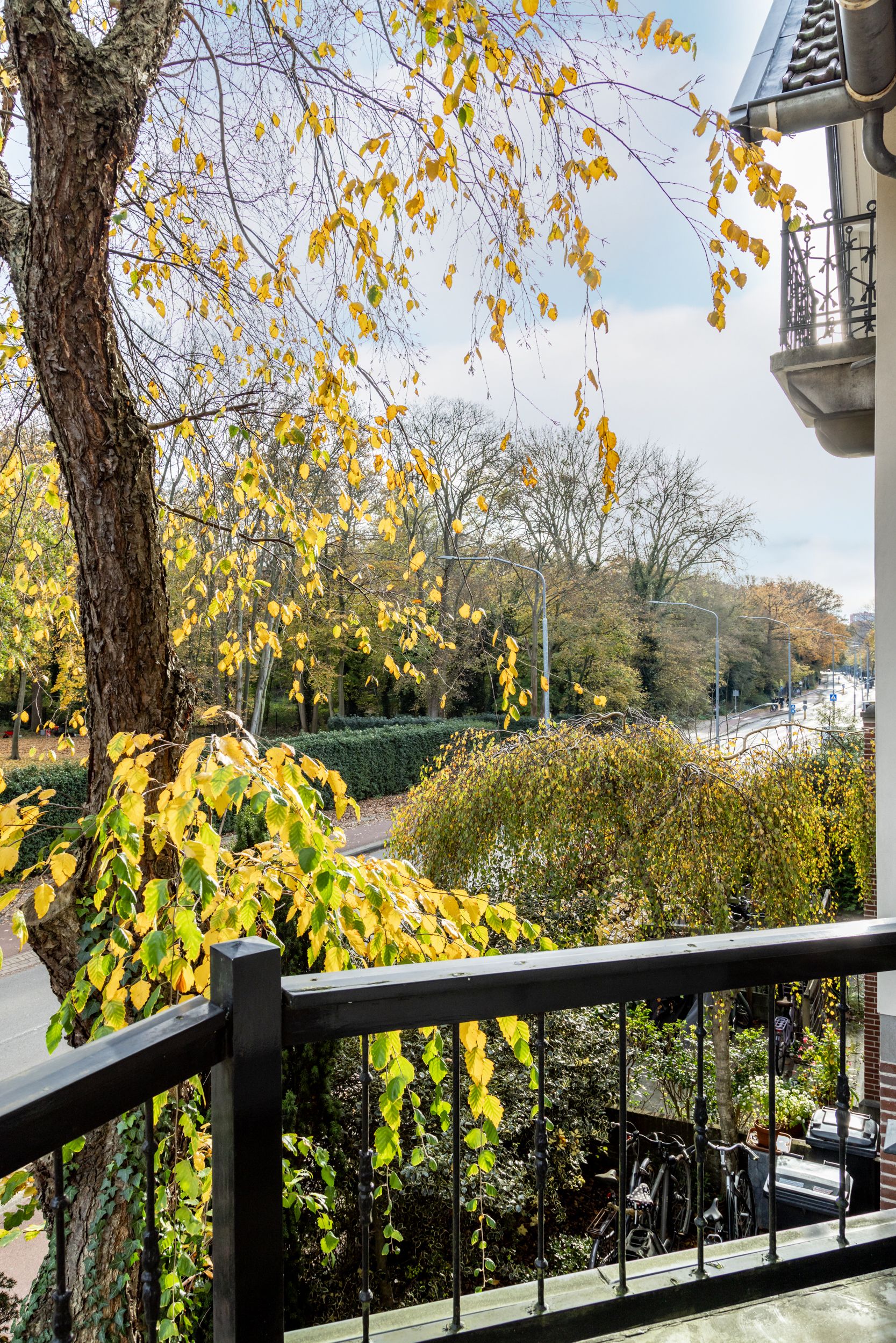 Photo 21 of Wagenweg 154