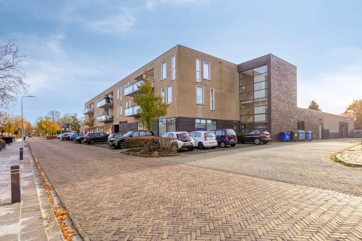 Nijebuorren 46 main image