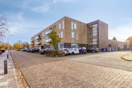 Nijebuorren thumbnail