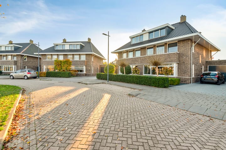 Foto 38 van Zonnedauw 8