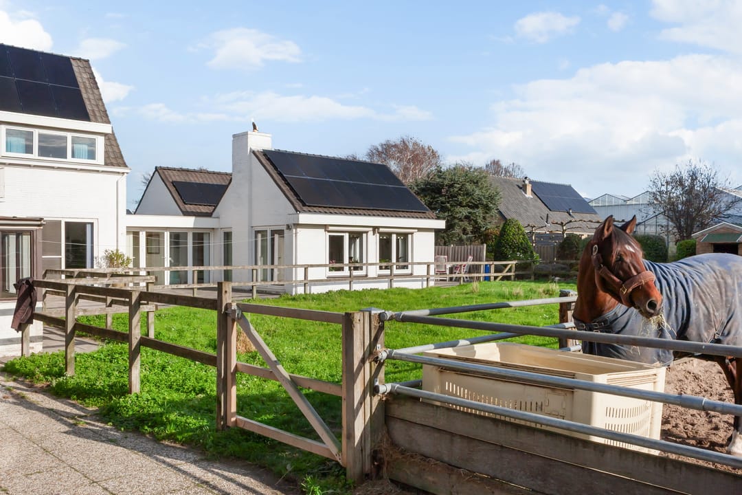 Foto 47 van Nieuwlandse Polderweg 19