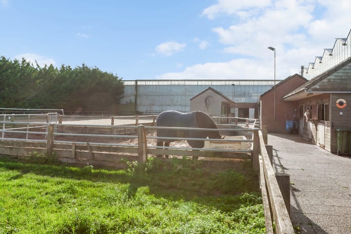 Foto 48 van Nieuwlandse Polderweg 19