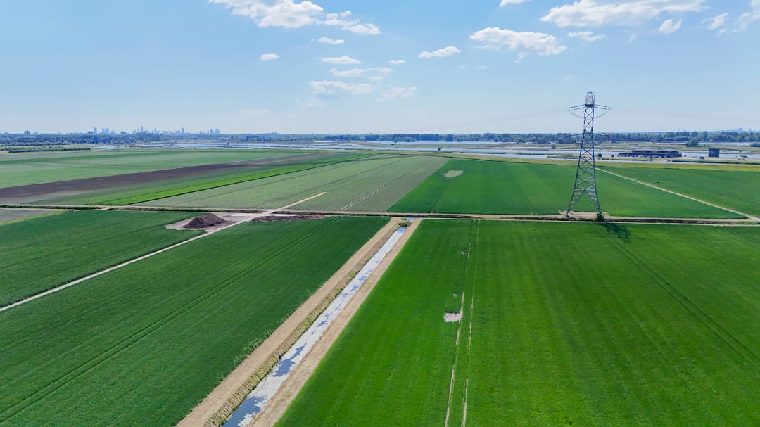 Foto 43 van Wilgenlaan 34