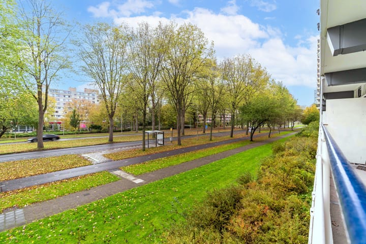 Photo 24 of Herman Gorterhof 35