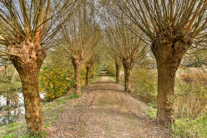 Foto 35 van Oberonlaan 23