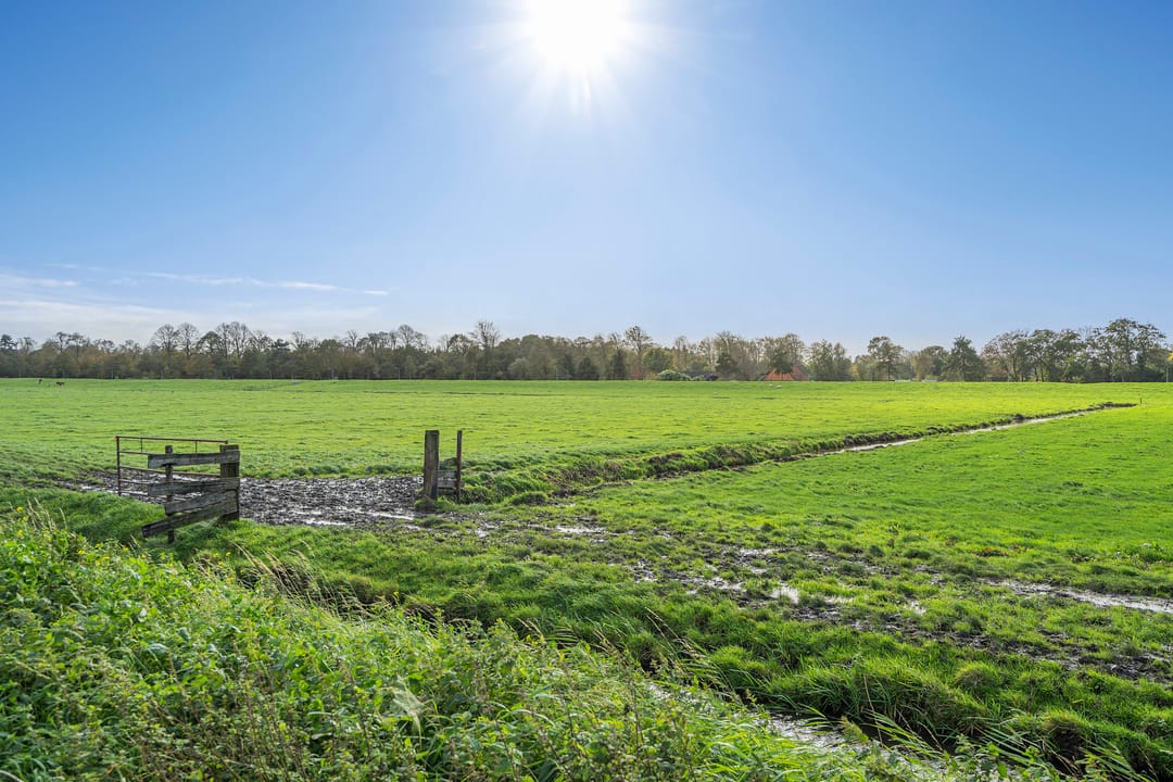 Foto 7 van Fregat 85