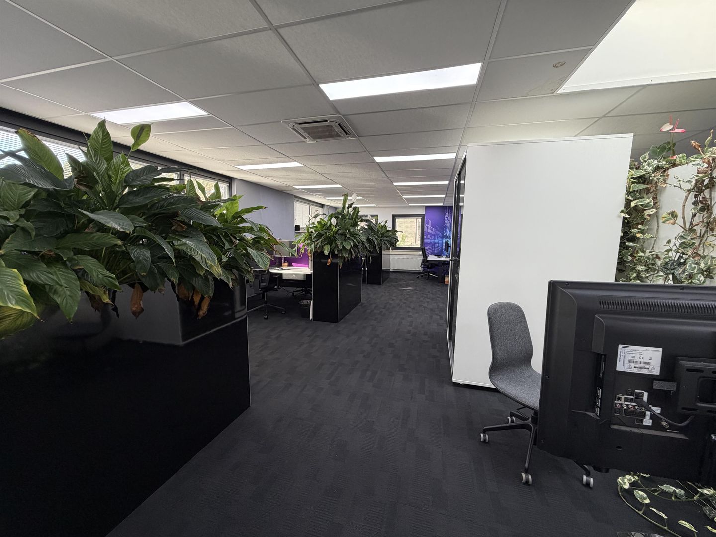 View photo 5 of Hogebrinkerweg 31